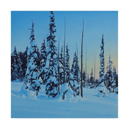 Ron Parker 'Snowy Forest' Canvas Art,18x18